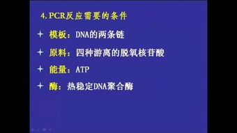 高中生如何利用微课实现经济独立？