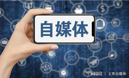 掌上宝如何实现盈利？详解其赚钱之道视频解析