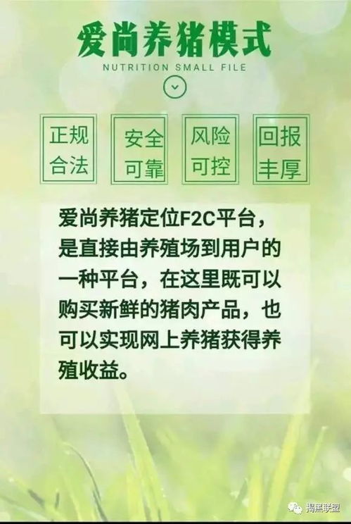 农村家庭养殖哪种项目最赚钱？您是否也在寻找答案？
