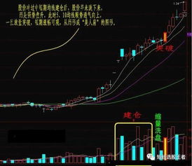 牛市中哪些股票最具盈利潜力？如何捕捉高收益机会？