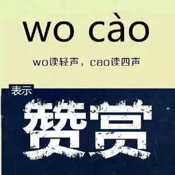 员贝究竟是什么含义？这个字背后隐藏着怎样的秘密？