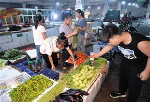 网上平台卖菜真能盈利吗？探讨其赚钱可行性