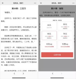 写小说时如何挑选最佳平台实现盈利？