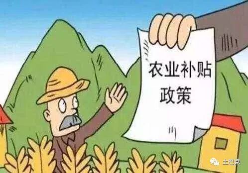 夏天适合尝试哪些农谚推荐的副业项目？