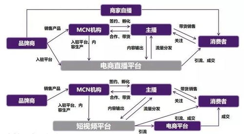 哆米体育直播如何实现盈利模式？