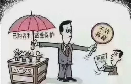 金电联行究竟如何？值得信赖吗？深入了解其综合表现