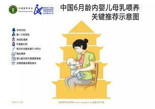 院子里的养殖副业，你真的了解它的潜力和挑战吗？