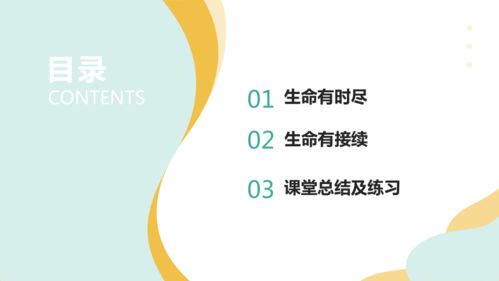 有哪些值得推荐的副业PPT模板？如何选择适合自己的？