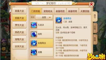 龙宫卡在哪个等级段收益最高？如何选择最赚钱的等级？