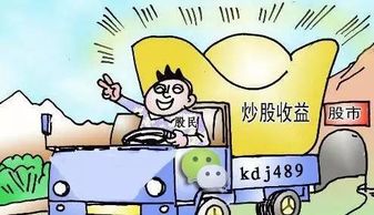 开设会所究竟能否带来丰厚收益？真相探讨