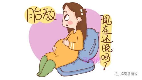 胎教真的能赚钱吗？这种说法可信度有多高？