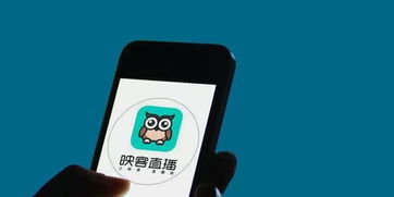 映客平台的盈利模式是怎样的？如何通过映客实现收入增长？