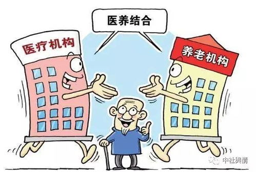 老年人适合办理哪些业务来实现盈利？