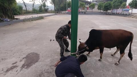 现在在安徽宣城搞养殖，真的能赚钱吗？前景如何？