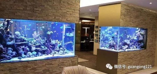 在昆明经营鱼缸生意能否盈利？知乎网友热议分享经验