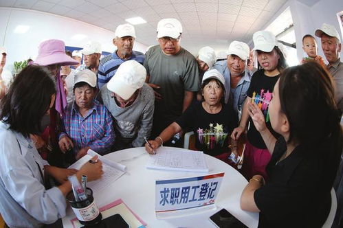晋州附近日结零工，一天300元，哪里能找到合适的工作？