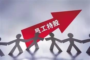 国企员工能否兼任法人？兼职现象背后的合规性探讨