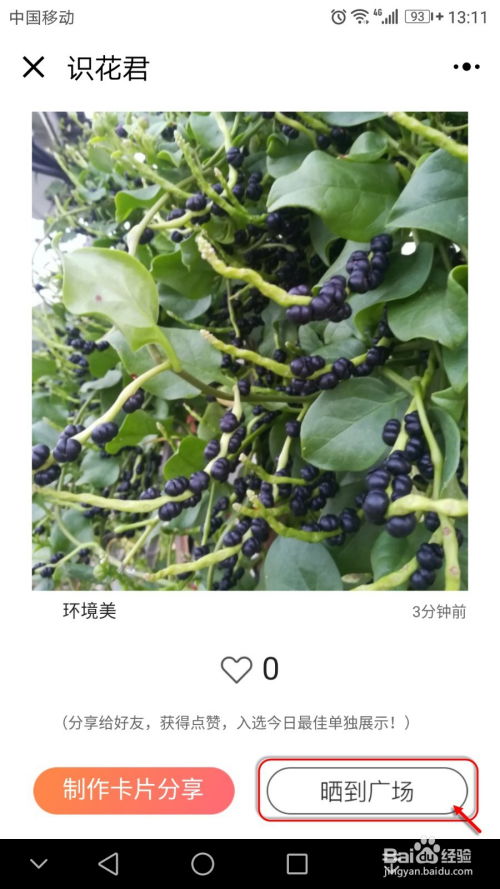 如何通过拍摄花椒视频实现盈利？