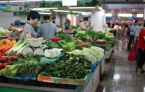 菜场卖菜如何盈利？新手必看的赚钱攻略