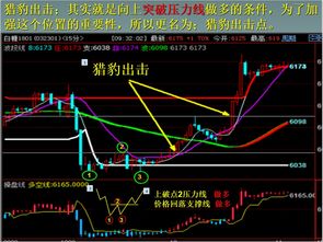 期货交易为何能带来盈利？背后原理是什么？