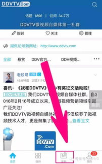 如何高效利用兼职发帖论坛提升网络影响力？