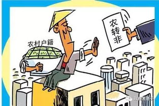 农村收藏哪些物品最具赚钱潜力？