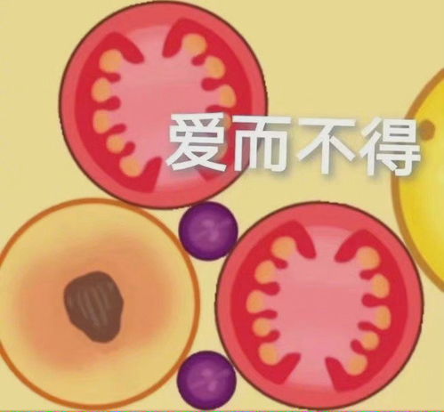 西瓜爱合成真的能实现盈利吗？探索其赚钱潜力